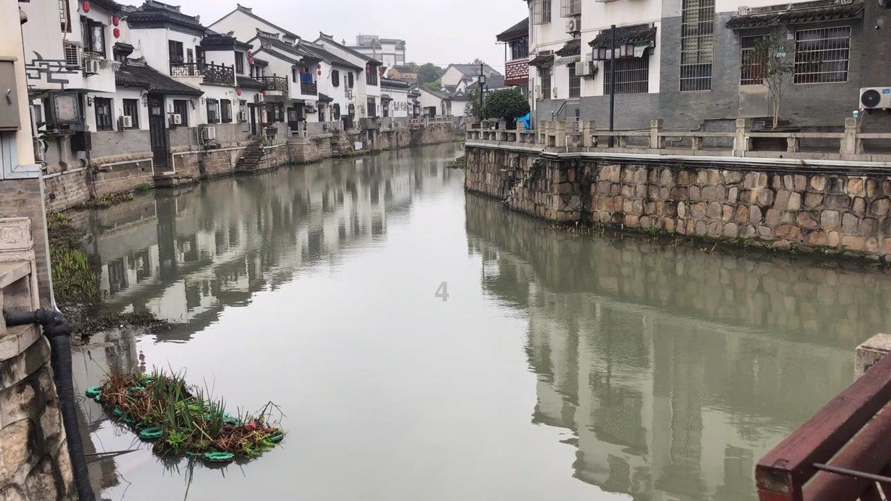 大白猫逃脱